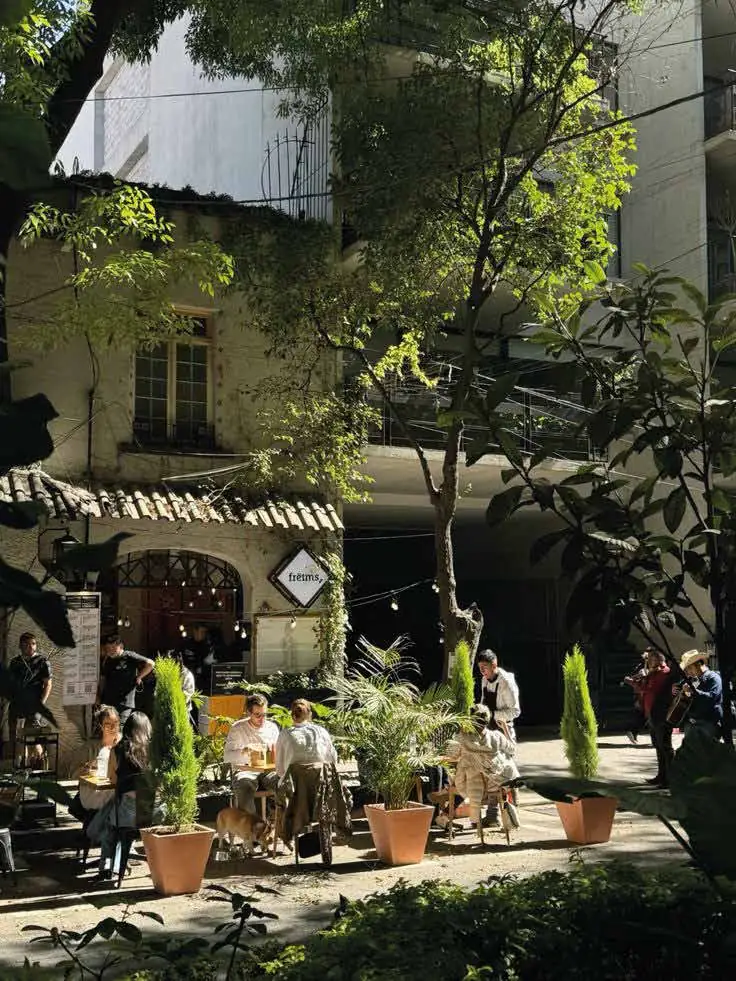 Neighborhood coffee shop in Condesa