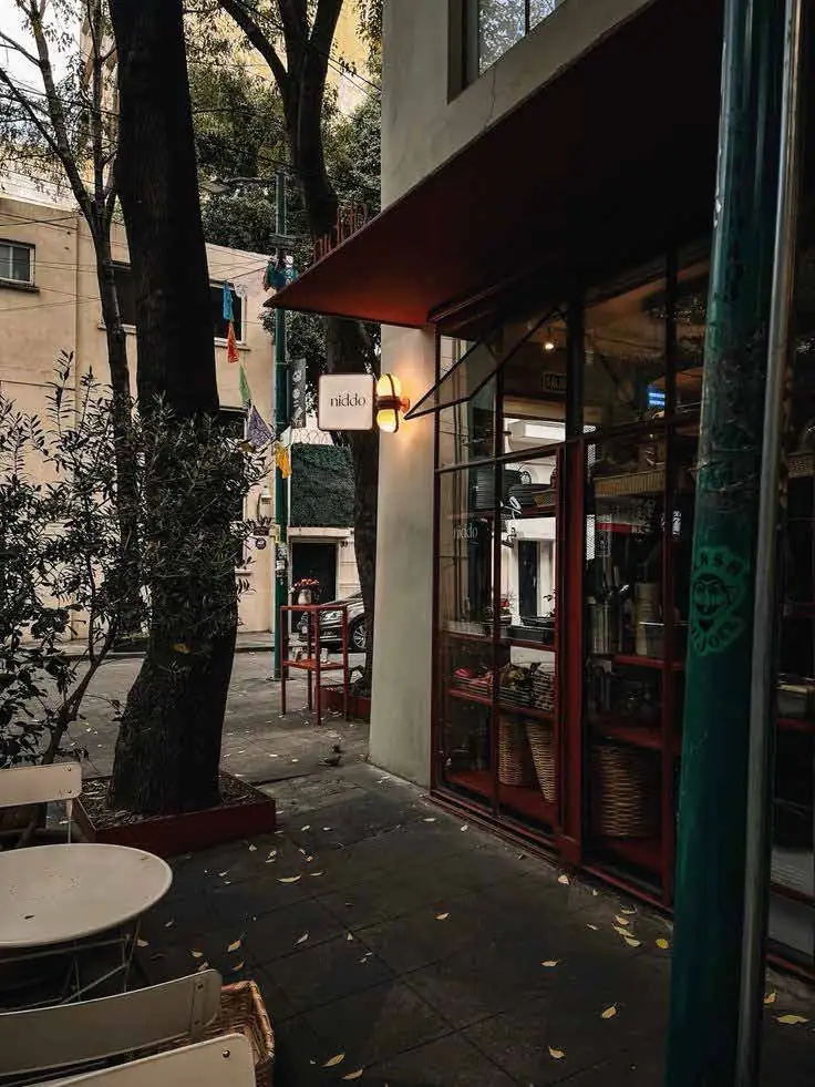 Café terrace in the Condesa neighborhood